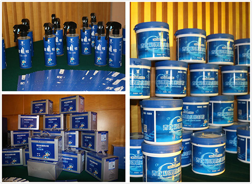 青龍防水新品發(fā)布會(huì) 促銷狂歡節(jié)拉開(kāi)帷幕