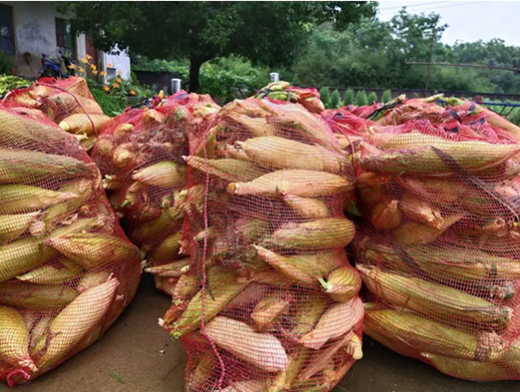 �K����벢�e��Ӳ������һ������