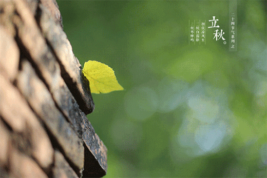 �������� ���X�� ��һ������_���䷽ʽ