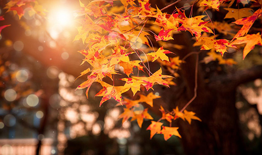 ������yʮ���b������ ��¹ܘI(y��)현ݶ���!