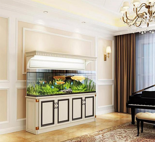 ��r���Ї�ȫ�X�Ҿ�ָ��(sh��)���������ȣ��r��ָ��(sh��)��(w��n)���ϝq!