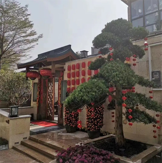 �V���X�I(y��)2021�꣺�{(di��o)���²��ԣ��I�����L(f��ng)��!