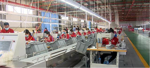 ����������Ь�����l(f��)չ���͹��I(y��) �Ƅӿh��(j��ng)��(j��)��(chu��ng)�°l(f��)չ