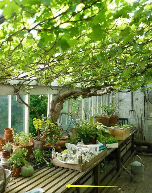 ͥԺ�������O(sh��)Ӌ(j��)�����(y��ng)�ⷿ�ÿ�߀��?x��n)r(ji��)�ȸ�!