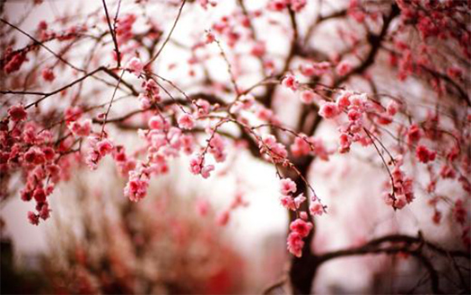 ţ��󼪣��A����� �c�������´� ���c�ѹ�(ji��)!