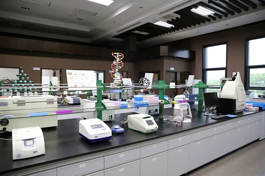 315���M(f��i)�ߙ�(qu��n)�����������������С�