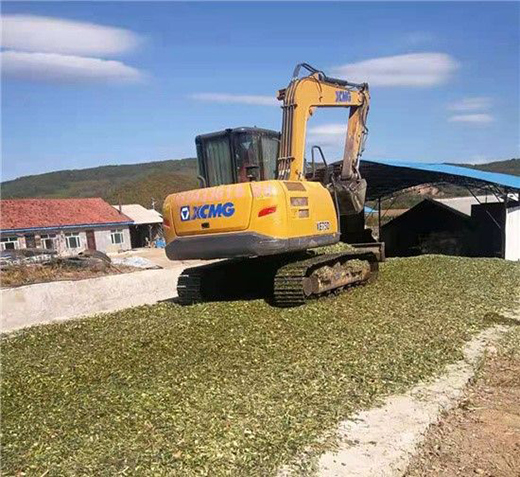 ����ţ�����Sţ�� ���콡���ʳ���L��