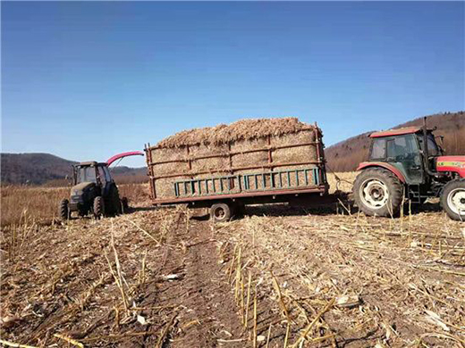 �����������Sţ�� ���콡���ʳ���L��