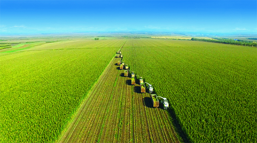 �w�Q�̷��I(l��ng)����ռ�ʛ_��19%����؛��������