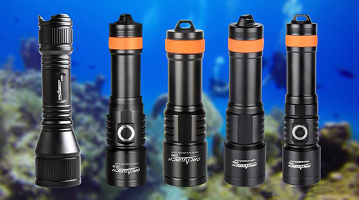 ��ˮ������������ߡ���OrcaTorch