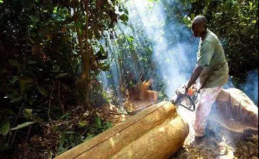 ��t��֦�Ҿ������M(j��n)�롰���ƻ����r��