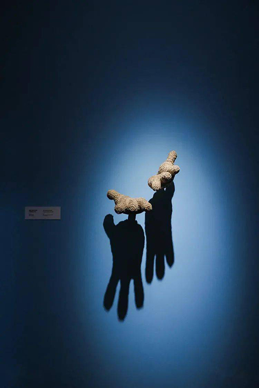 ����!�A������������ˇ�g(sh��)չ���y�ֵ�ʿ���������Ʒ