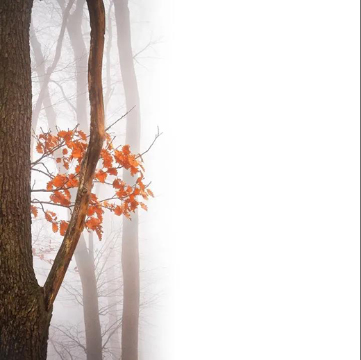 �����f(w��n)�� | ��(y��u)���ذ���Ʒζ�o�k����!