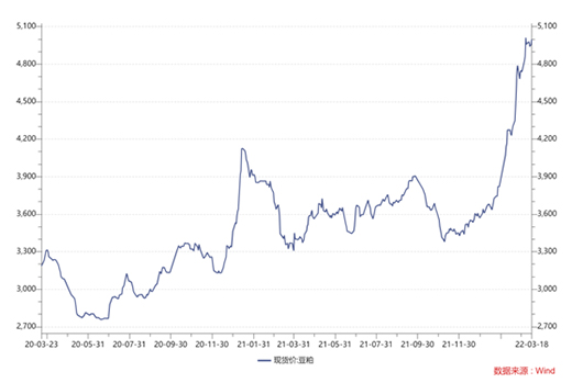 大豆價(jià)格暴漲，逼近10年高位!養(yǎng)豬企業(yè)控成本，二師兄要減餐了