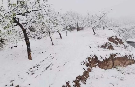 �՚�Դ��Ȫ��������춬���B(y��ng)�����w�!