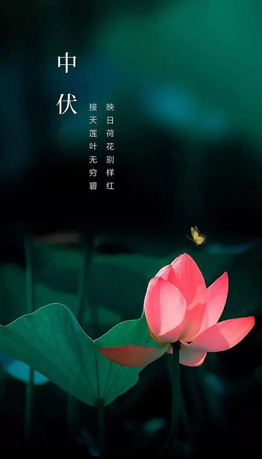 �����ļ��������Žo�㎧��(l��i)���m����ԡ�w�(y��n)