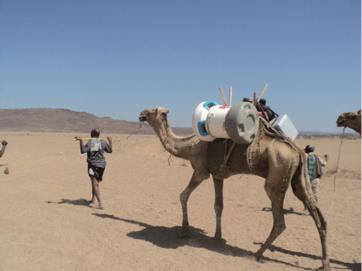 �Ŀ¬����x2022�ꡰ�Ї�500��߃rֵƷ�ơ�