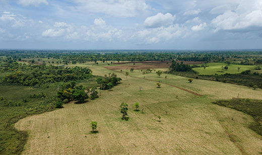 威能ecoTEC exclusive榮獲“綠點(diǎn)中國(guó)”年度案例，綠色設(shè)計(jì)助力舒適生活