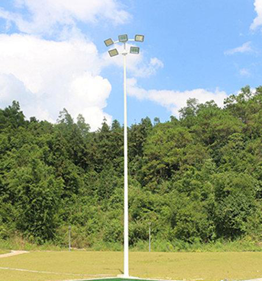 ����x�������������