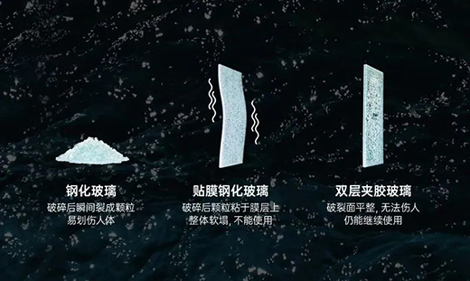 衛(wèi)生間不做干濕分離的后果:到處發(fā)霉，濕噠噠..