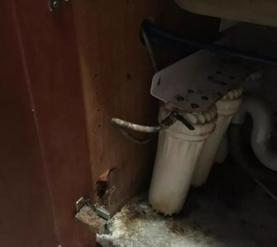 蒙蒂尼:不銹鋼櫥柜一個理由已經(jīng)足夠