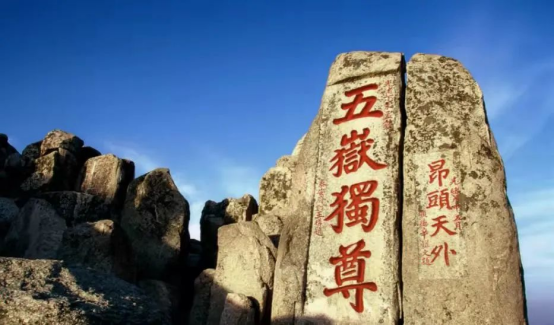 喜訊！泰山牌輕鋼龍骨榮獲“中國(guó)十大輕鋼龍骨品牌”稱號(hào)