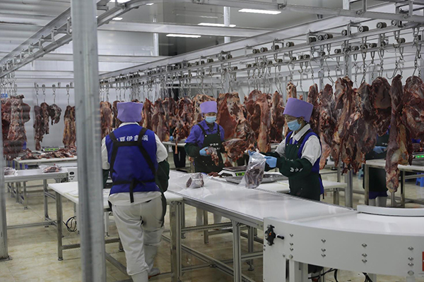 攜手企業(yè)和媒體，打造“六盤山”區(qū)域公用品牌新天地